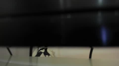 Snapshot of abril_777 chatting on 02.22.26 Abril 777 online show from 02.22.26