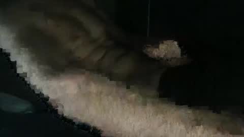 Snapshot of acid_lab chatting on 12.16.24 acid_lab online show from 12.16.24