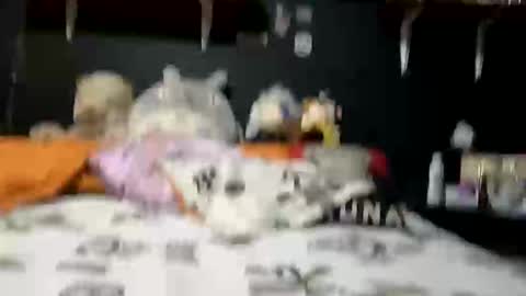 adam and abby online show from 02.28.25