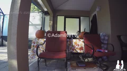 Snapshot of adamevetv chatting on 11.01.25 Adam And Eve online show from 11.01.25