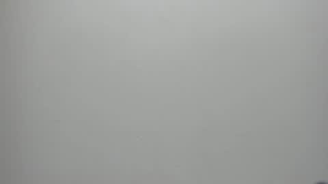 adbel sady online show from 01.17.25