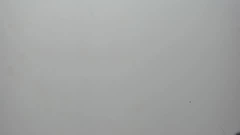 adbel sady online show from 02.10.25