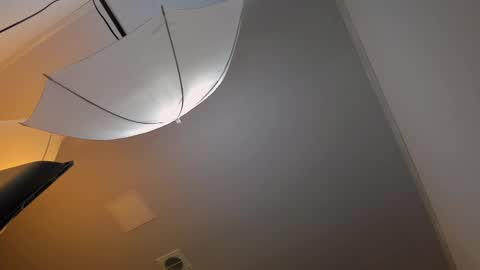 adbel sady online show from 03.08.25