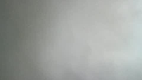 adi2019 online show from 01.08.25