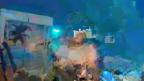 Adonis XDDDDDDDD Woody online show from 12.31.24