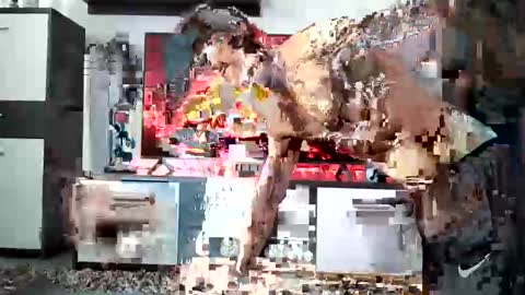 Adriano online show from 12.28.24