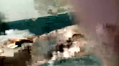 adrodiarellano online show from 10.13.25