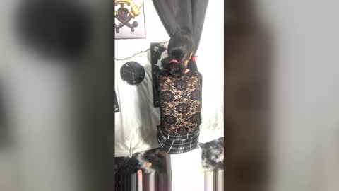 afroluz online show from 04.27.26