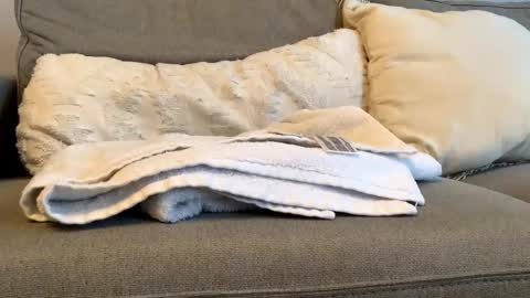 Snapshot of airmyles92 chatting on 11.06.25 canadianboy92 online show from 11.06.25