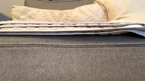 Snapshot of airmyles92 chatting on 11.15.25 canadianboy92 online show from 11.15.25