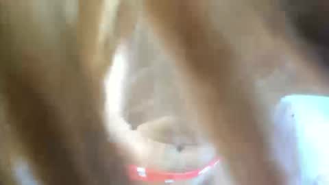 Snapshot of aisha_violeht chatting on 02.25.26 aisha_violeht online show from 02.25.26