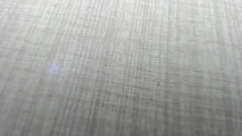 Aisha online show from 12.02.25