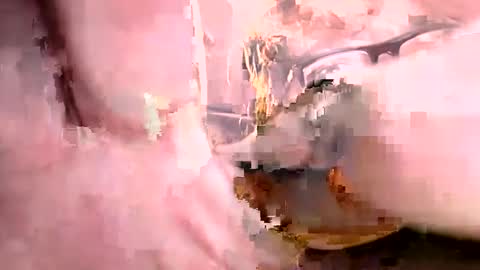 Snapshot of ajistightfeg chatting on 10.01.25 Ajishigh online show from 10.01.25