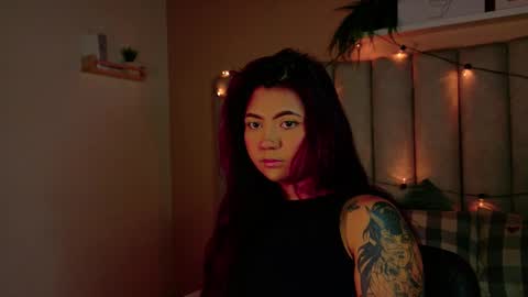  Alaia  online show from 12.22.25