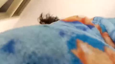 isabella online show from 12.15.25