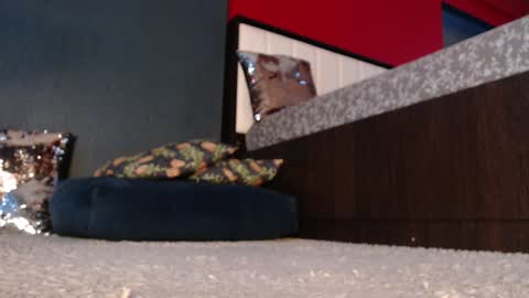 Snapshot of alanna_gold chatting on 12.04.24 Alanna online show from 12.04.24