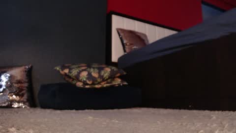 Snapshot of alanna_gold chatting on 01.11.25 Alanna online show from 01.11.25