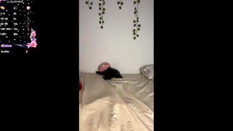 Alaska online show from 02.25.25