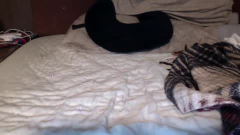 Snapshot of albertalbert9 chatting on 12.13.24 albertalbert9 online show from 12.13.24