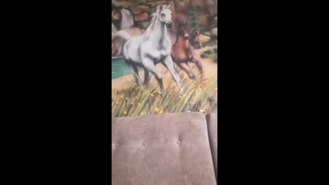 albina online show from 02.13.26