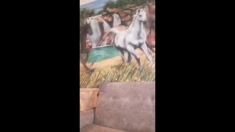 albina online show from 02.24.26