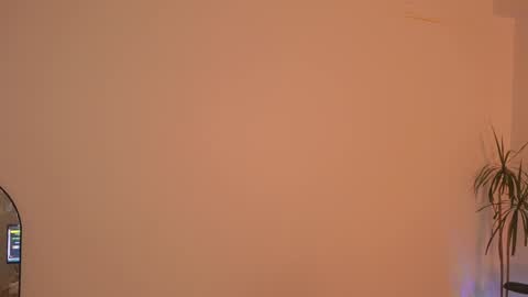 Ale online show from 01.11.25