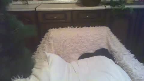 Luly online show from 01.05.25