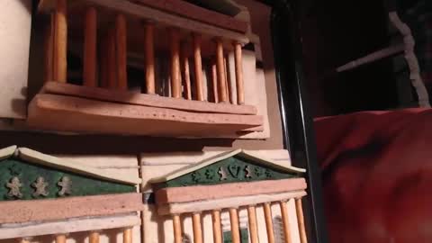 Alex Amazing online show from 01.28.25