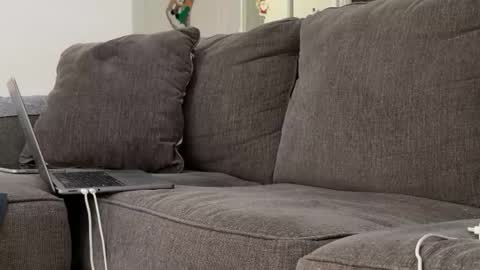 Alex online show from 11.03.25