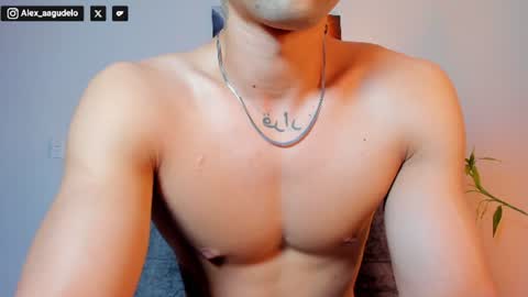 Snapshot of alex_zt7 chatting on 07.11.26 x online show from 07.11.26