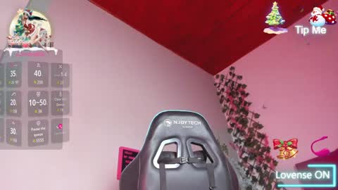 Snapshot of alexa_cutee chatting on 12.29.24 Dani online show from 12.29.24