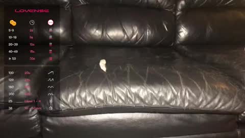 Alex  John online show from 12.21.24