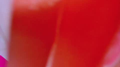 ALEXANDRA online show from 02.04.25