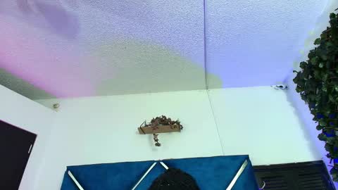 Alexa online show from 02.24.26