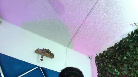 Alexa online show from 04.09.26