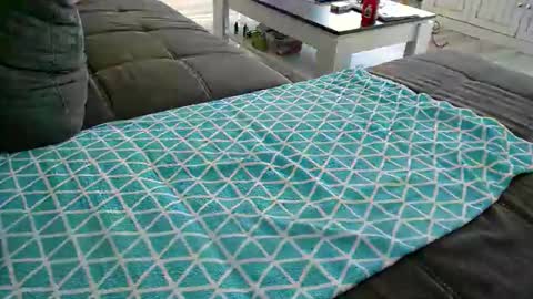 Doggystyle online show from 12.24.24