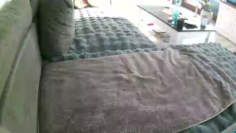 Doggystyle online show from 01.10.26