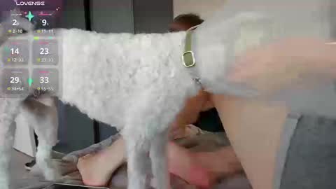 Alexia online show from 11.20.25