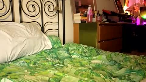 Alex online show from 12.22.24