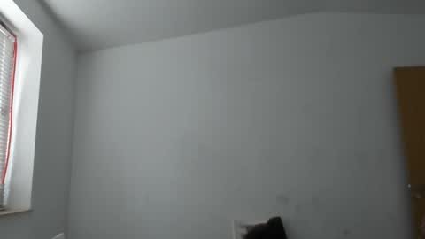 alfiesolomons87 online show from 11.14.25