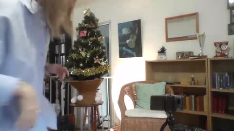 Alice online show from 12.17.24