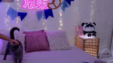 Snapshot of alice_charmy chatting on 09.29.25 Alice in Wonderland online show from 09.29.25