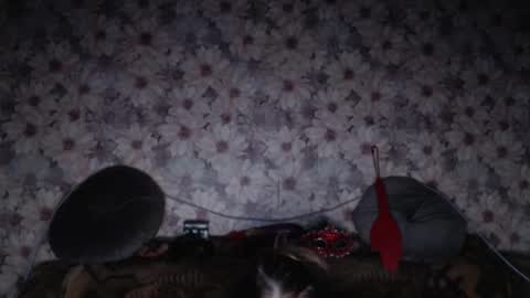 alice longstocking online show from 02.07.26