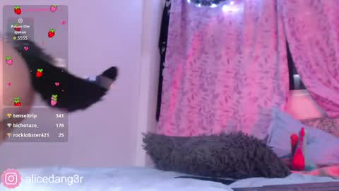 Snapshot of alicedang3r chatting on 12.15.24 Alice online show from 12.15.24