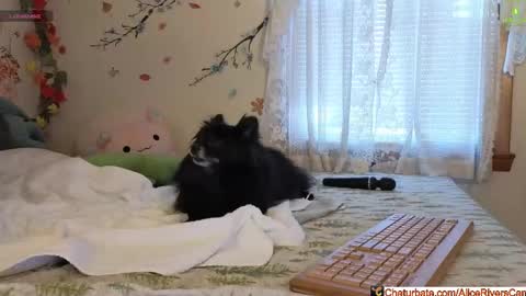 Alice Rivers ---- Enter my public Discord-  online show from 02.05.26