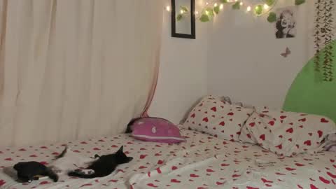 Snapshot of alikaa_nia chatting on 12.29.24 online show from 12.29.24