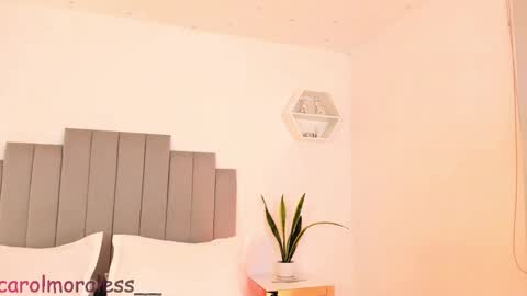 ALIS online show from 11.30.25