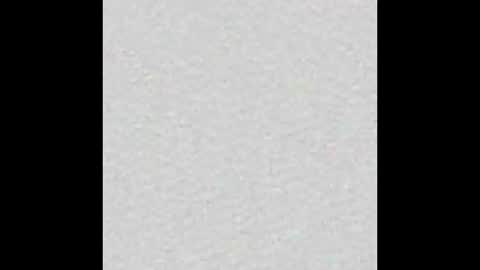 Alisse online show from 10.21.25