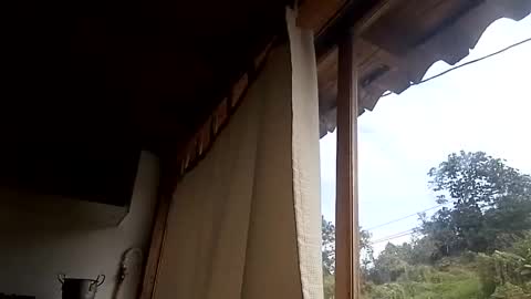 Alisson369  online show from 02.13.25