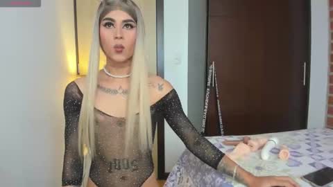 alisson online show from 02.19.26